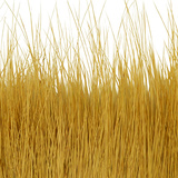 BG Nutria Shrimp Hair Supreme