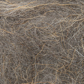 Fly-Dressing Snowshoe Rabbit Foot