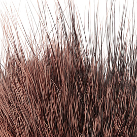 BG Nutria Shrimp Hair Supreme