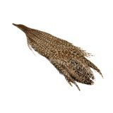 Wapsi Ewing Grizzly Half Capes