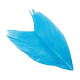 Veniard Condor Substitute
