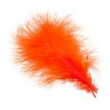 Wapsi Select Marabou Plumes