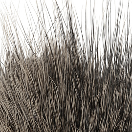 BG Nutria Shrimp Hair Supreme