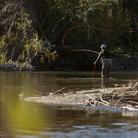 Sage Fly Rod Trout LL
