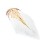 BG Bucktail Whole Tail