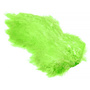 CBS508 Fl. Chartreuse