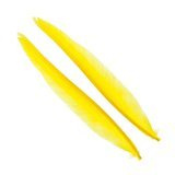 Wapsi Duck Quill, 2 pair