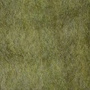 SFD087 Gray Olive