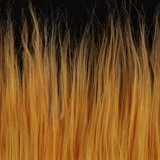 BG Fish Hair