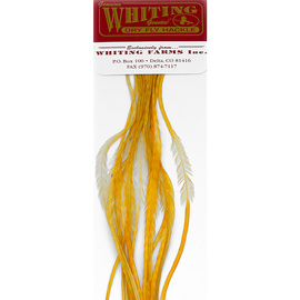 Whiting 100 Packs