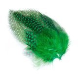 BG Guinea Fowl Hackles