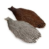 Wapsi Keough Grizzly Hen Cape