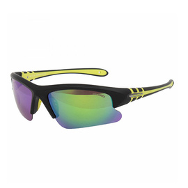 Solano Polarized Sunglasses FL 20050B