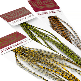 Whiting 100 Packs