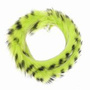 ZBB-089 Chartreuse-Black