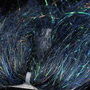 Dark Peacock
