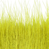 BG Nutria Shrimp Hair Supreme